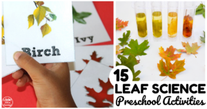 Leaf Science Activities for Preschoolers