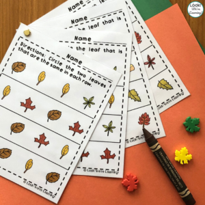 Leaf Same and Different Worksheets