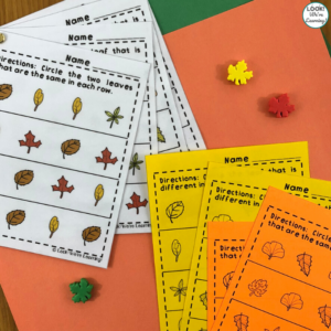 Leaf Visual Discrimination Early Center Activity