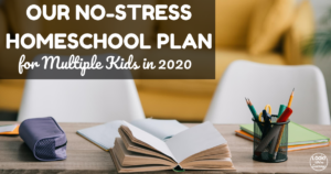 Our 2020 Homeschool Curriculum Choices
