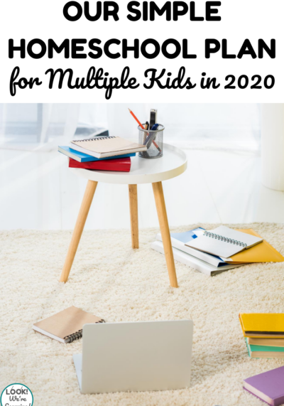 See the 2020 homeschool curriculum choices we made for our family this year!