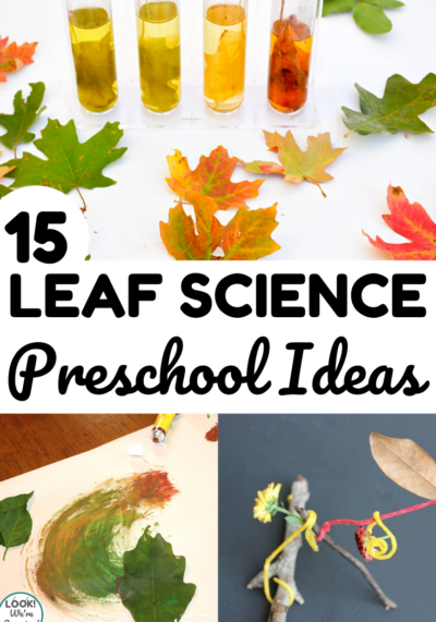 These simple leaf science activities for preschoolers are perfect for a fall science unit!