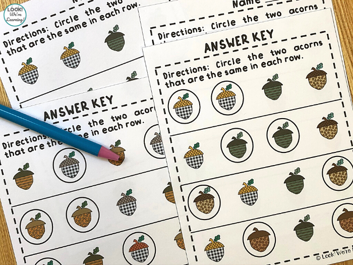 Acorn Themed Same or Different Worksheets