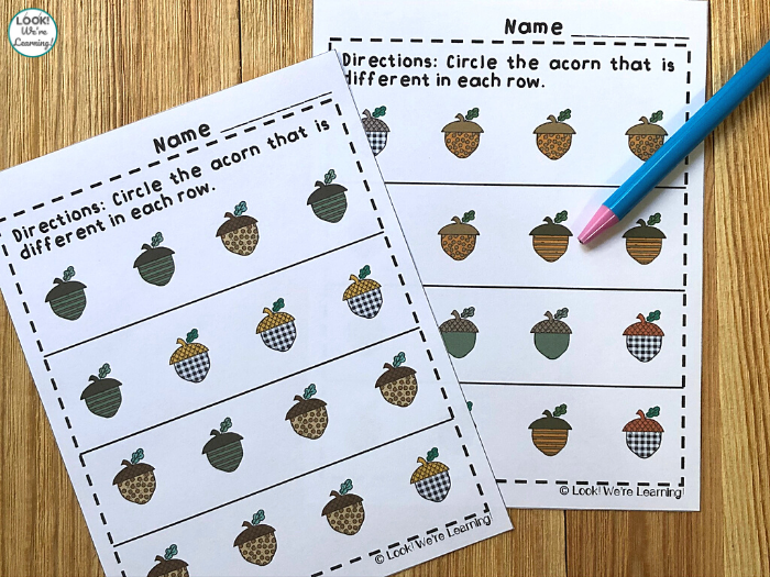 Fall Themed Same and Different Worksheets
