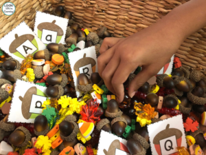 Simple Acorn Preschool Sensory Bin