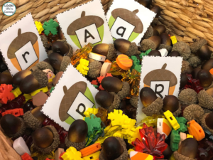 Letter Acorn Themed Sensory Bin