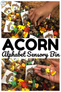 Use this alphabet acorn sensory bin for some fun sensory play and letter recognition practice during fall!