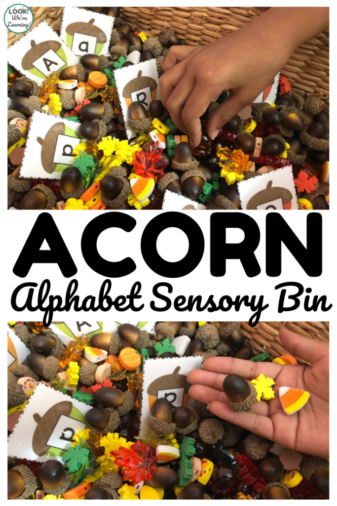 Use this alphabet acorn sensory bin for some fun sensory play and letter recognition practice during fall!