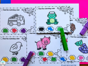 Blackline Color Clip Cards for Kids