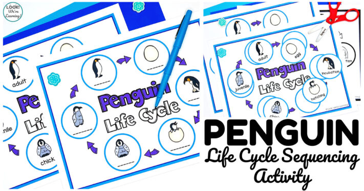 Fun Penguin Life Cycle Sequencing Activity