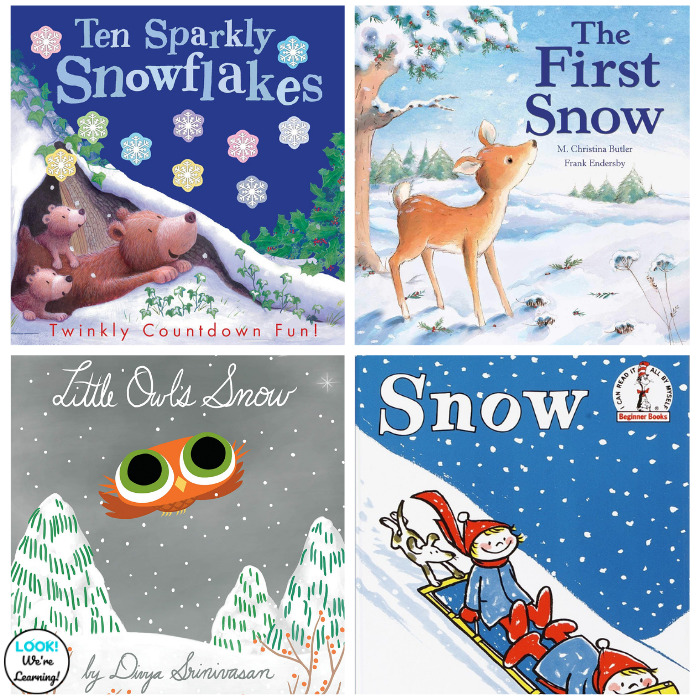 Fun Snow Books for Kids