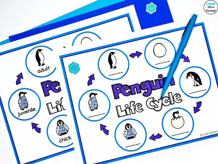 How to Label a Penguin Life Cycle Activity