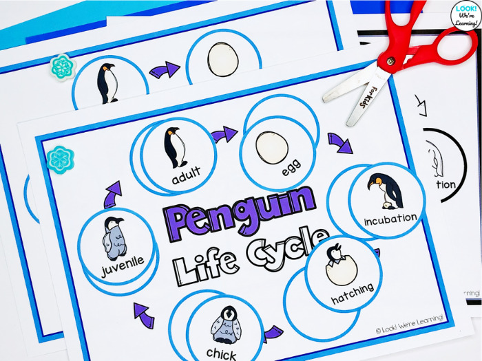 Penguin Life Cycle Sequencing Cut and Paste Activity