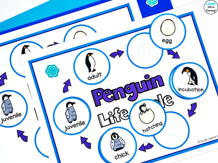 Printable Penguin Life Cycle Sequencing