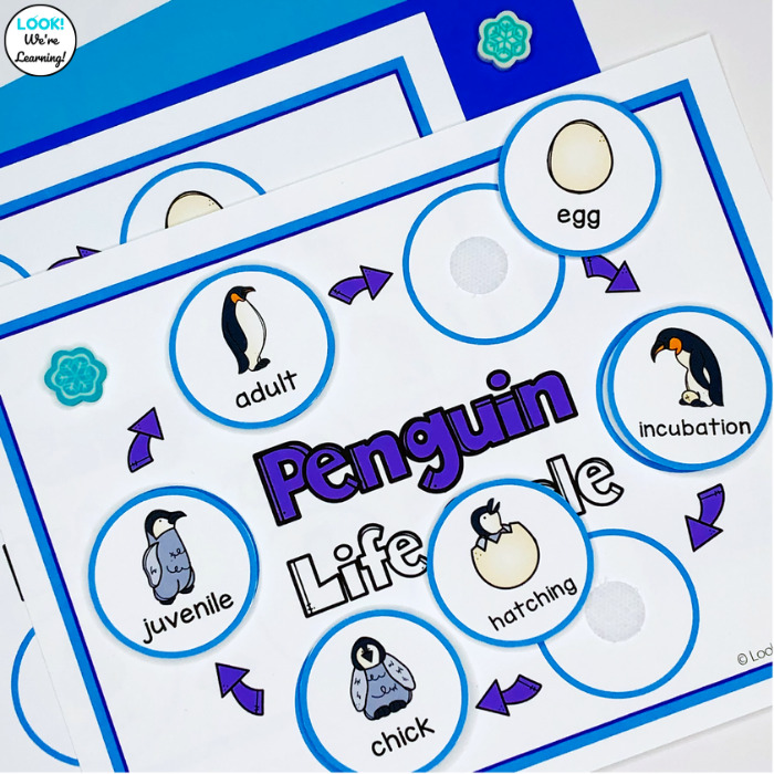 Reusable Penguin Life Cycle Sequencing Activity for Science Centers