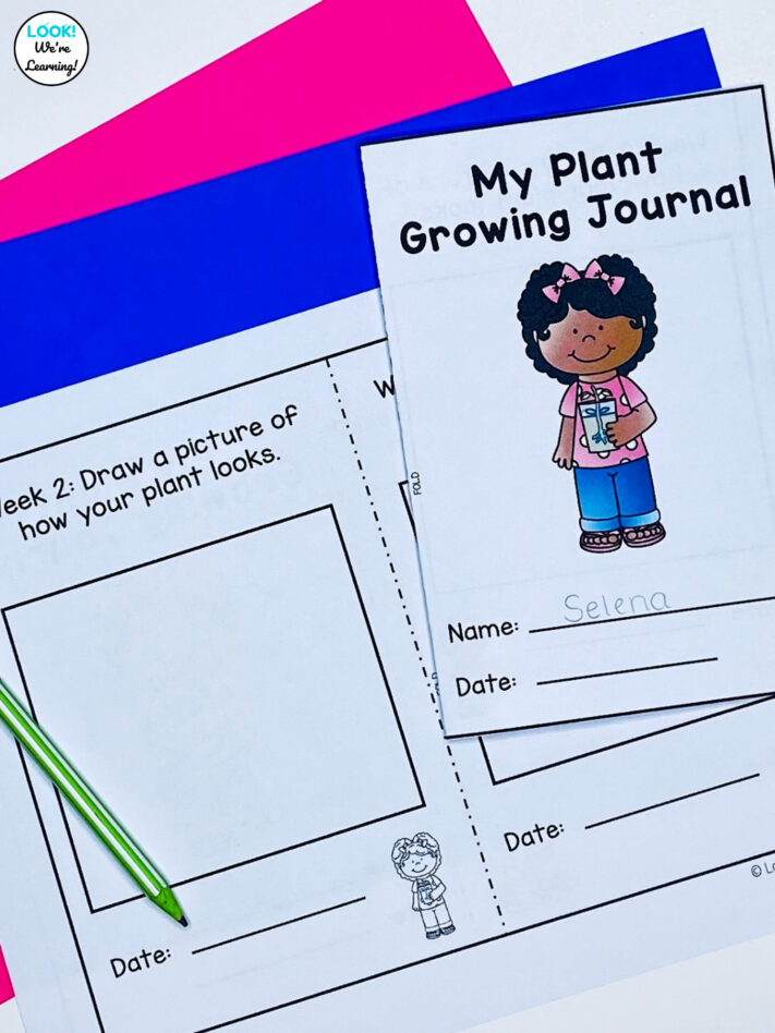 How to Grow Plants with Early Learners