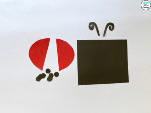 Making a Toilet Paper Roll Ladybug Craft