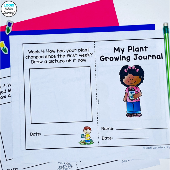 Printable Mini Plant Journal for Kids