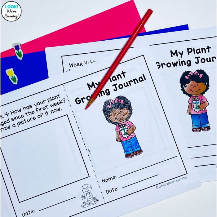 Printable Plant Coloring Journal for Kids