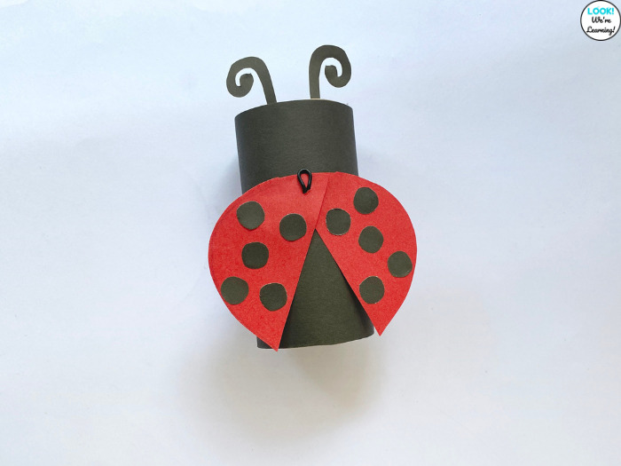 Toilet Paper Roll Ladybug Craft for Kids