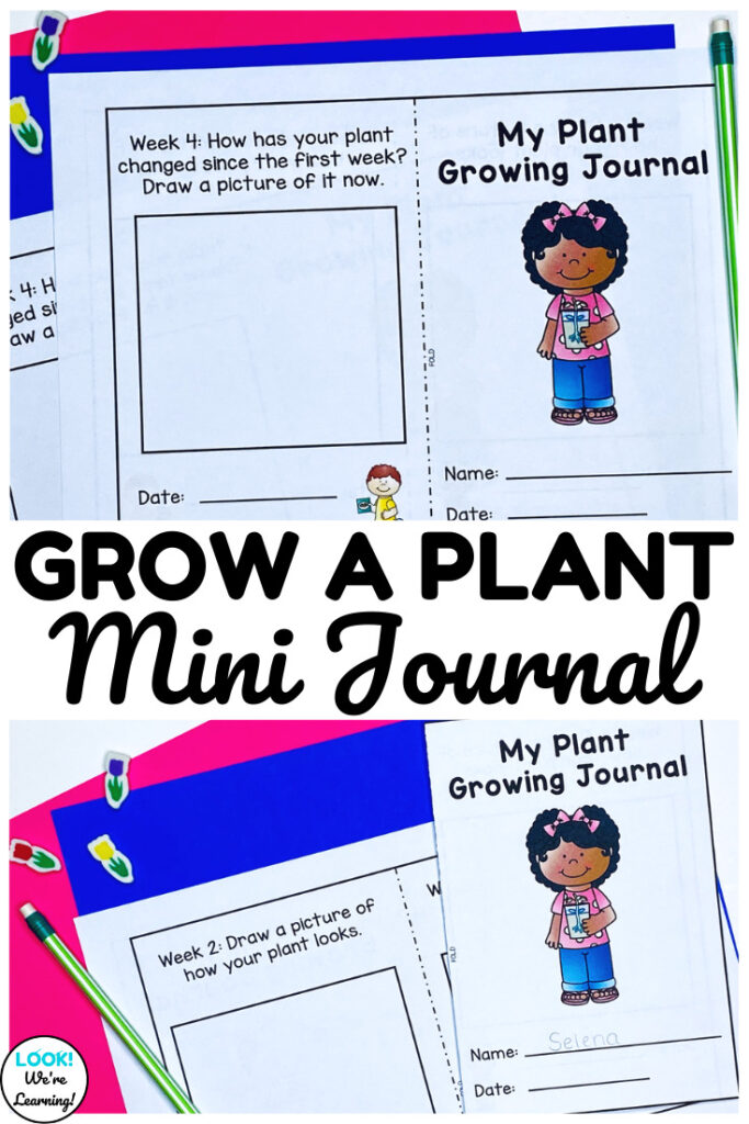 Use this printable plant growing journal to help early learners document the ways plants grow at home or in the classroom!