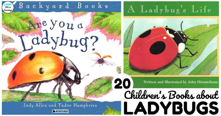 20 Fun Ladybug Books for Kids to Read