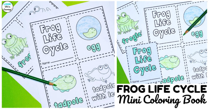 Frog Life Cycle Mini Coloring Book for Kids