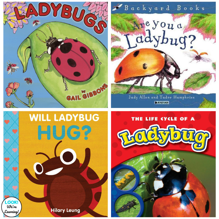 Fun Books about Ladybugs for Kids to Read