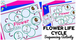 Fun Flower Life Cycle Sequencing Activity for Kids