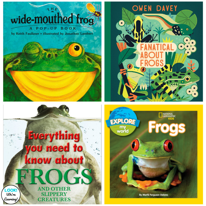 Fun Frog Books for Early Elementary Students