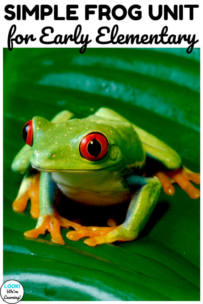 Get to know these fun amphibians with this simple frog unit for early elementary grades!