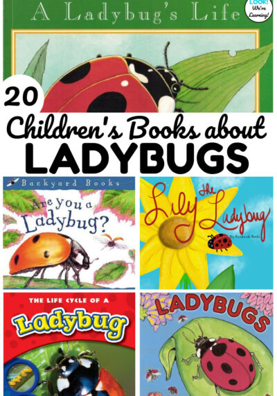 Teach early learners about ladybugs this spring with this list of 20 fun ladybug books for kids to read! Great for a spring or insect unit in early grades!