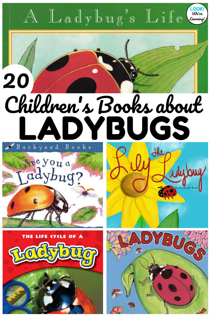 20 Fun Ladybug Books for Kids to Read - Look! We're Learning!