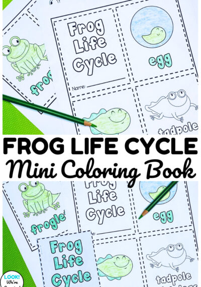 This mini frog life cycle coloring book is so cute for spring animal science lessons!