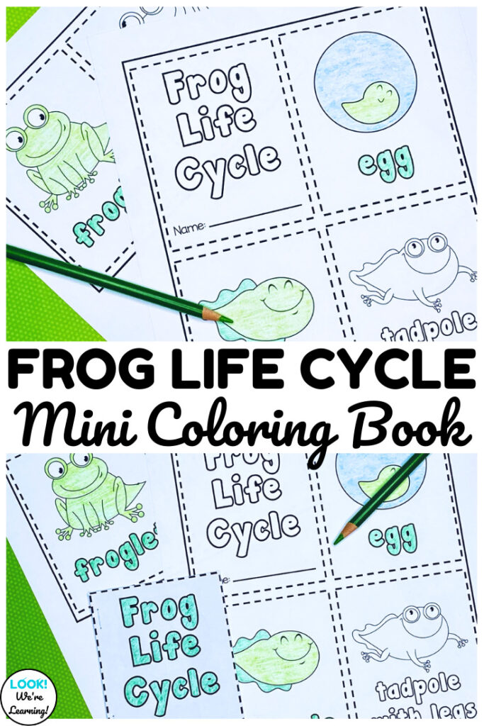 This mini frog life cycle coloring book is so cute for spring animal science lessons!