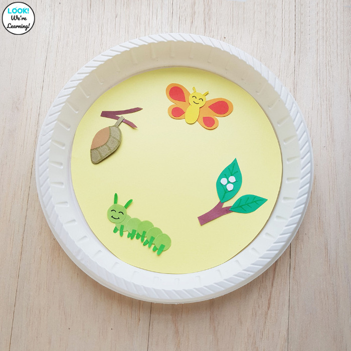 Butterfly Life Cycle Paper Plate Craft