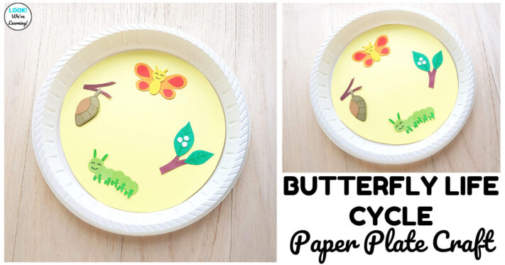 Easy Butterfly Life Cycle Craft for Kids