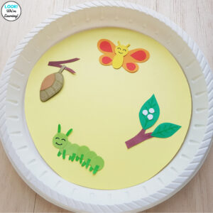 Paper Plate Butterfly Life Cycle Craft