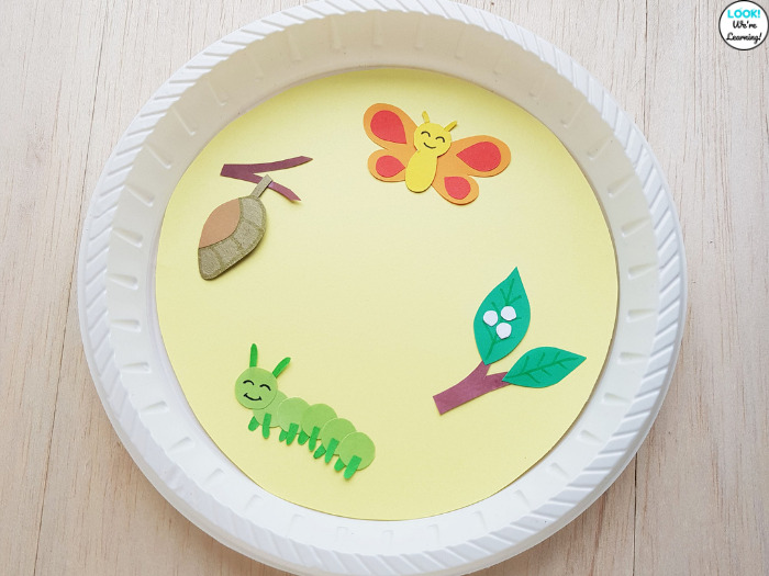 Paper Plate Butterfly Life Cycle Craft for Kids