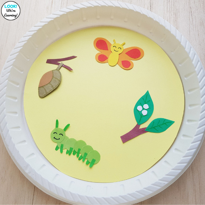 Paper Plate Butterfly Life Cycle Craft for Kids - Look! We're Learning!