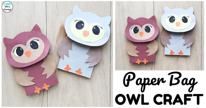 Fun Paper Bag Owl Craft for Kids