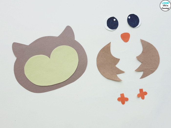 How to Make an Owl Craft with Kids