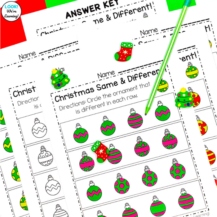 Christmas Ornament Same and Different Worksheets