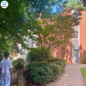 A teenage boy walks along the sidewalk next to a college dorm